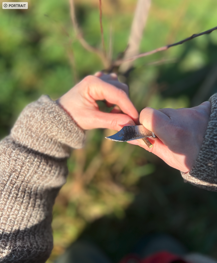 L&rsquo;Art de rater sa greffe : Le Manuel de l&rsquo;Échec selon Jarforetum
