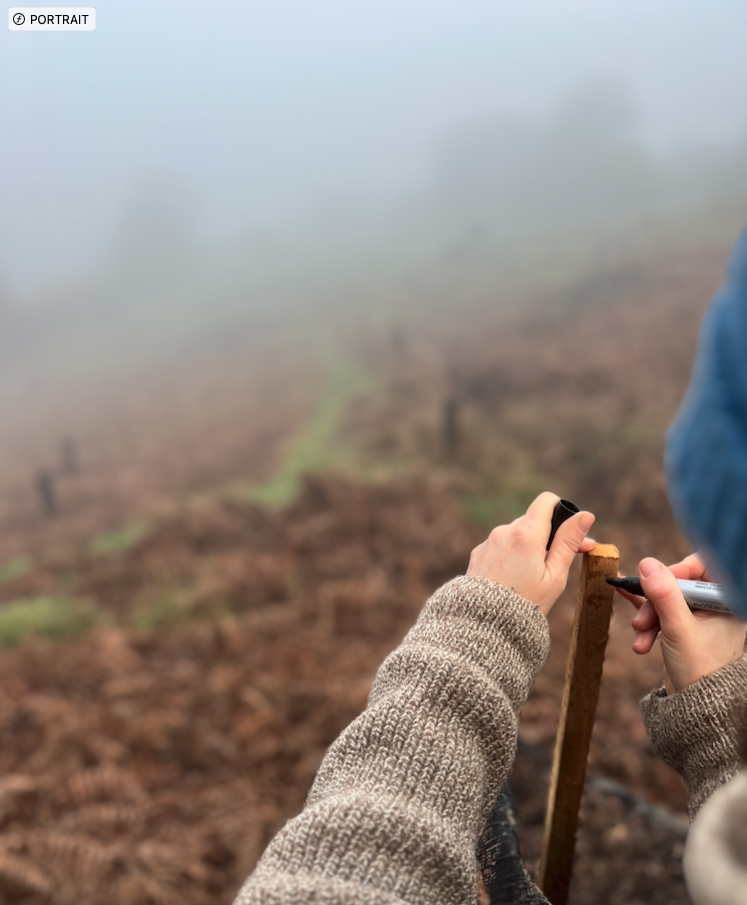 Super ! La création des baissières a démarré à Jarforetum