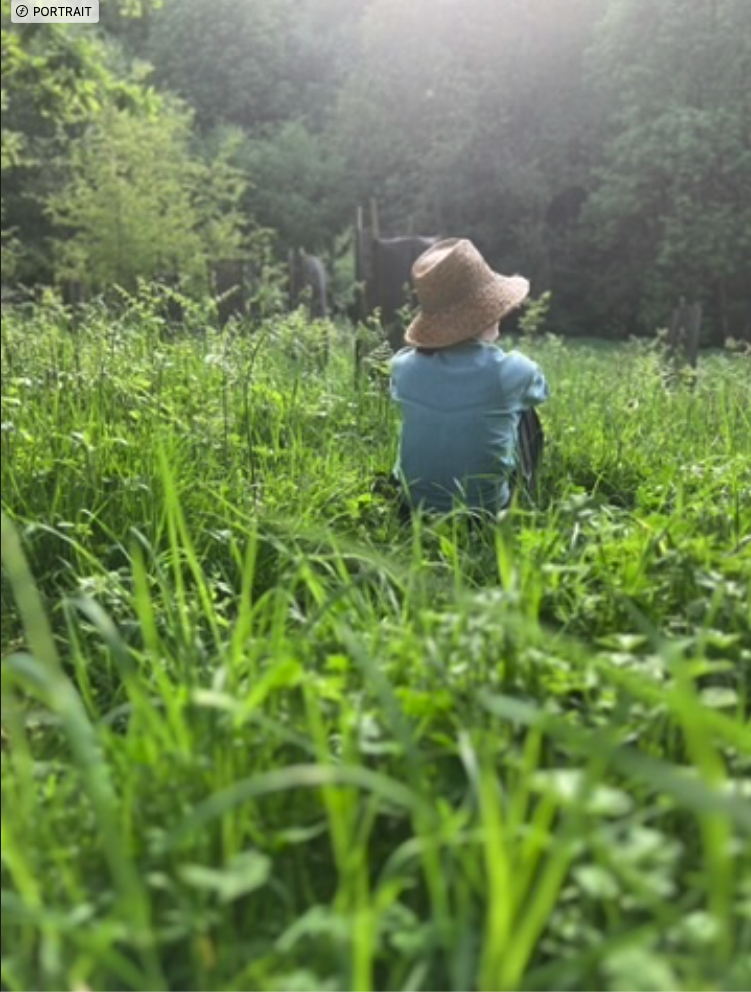 Epouser la succession végétale