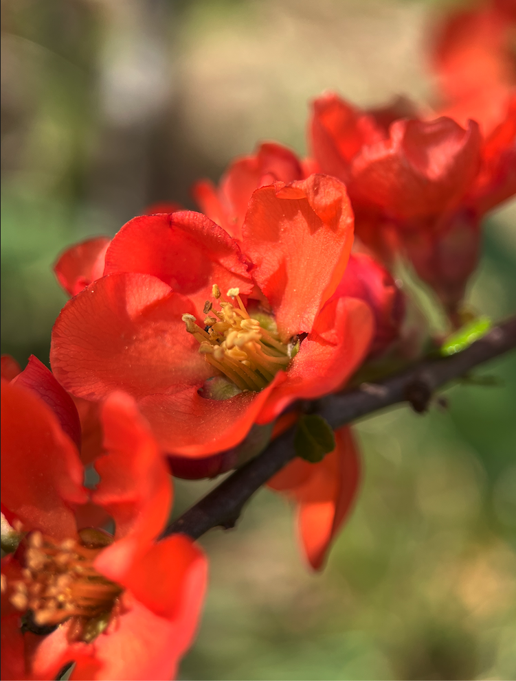 Les 7 raisons de soutenir notre projet avec Tipeee