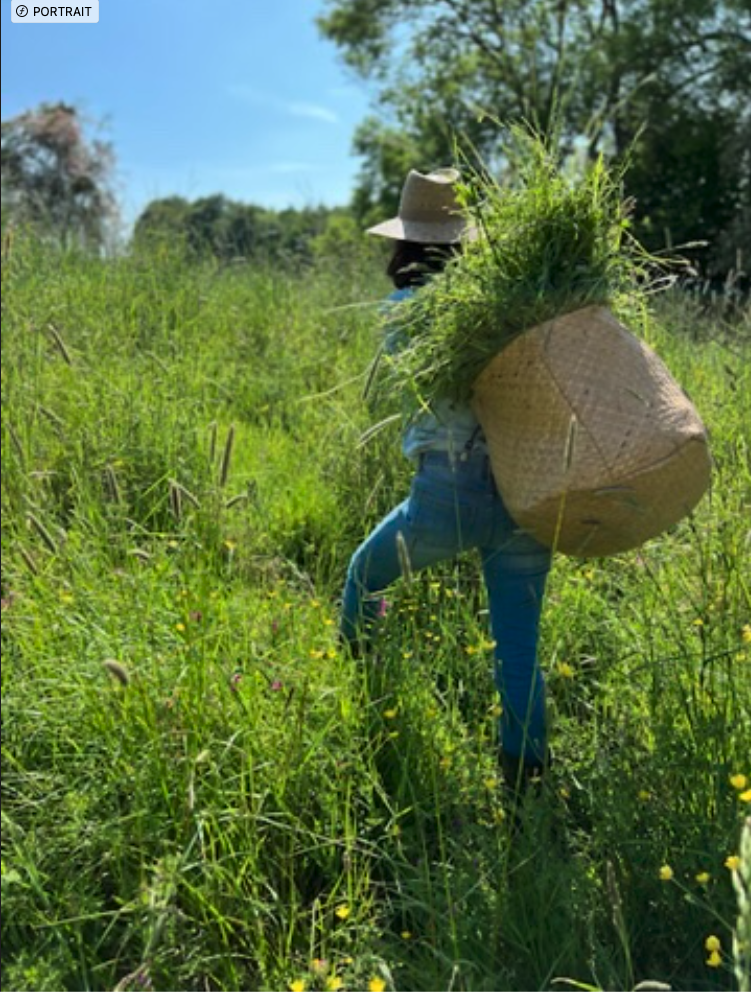 Fermeture de la Parcelle et Nouveaux Horizons