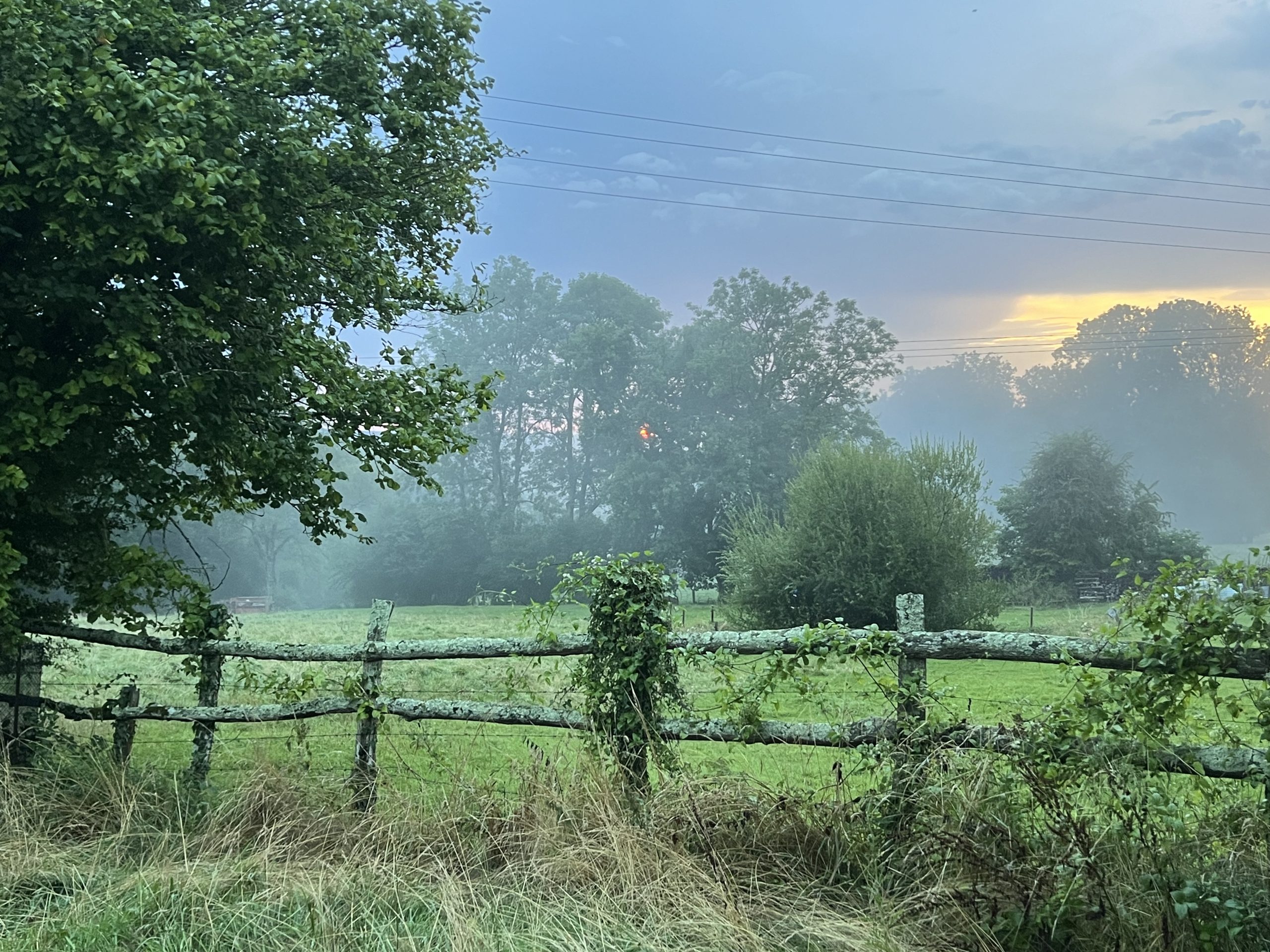 Jarforetum – Le Jardin-forêt du Perche, Normandie, 61.